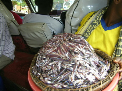 Bild Matatufahrt in Kigoma